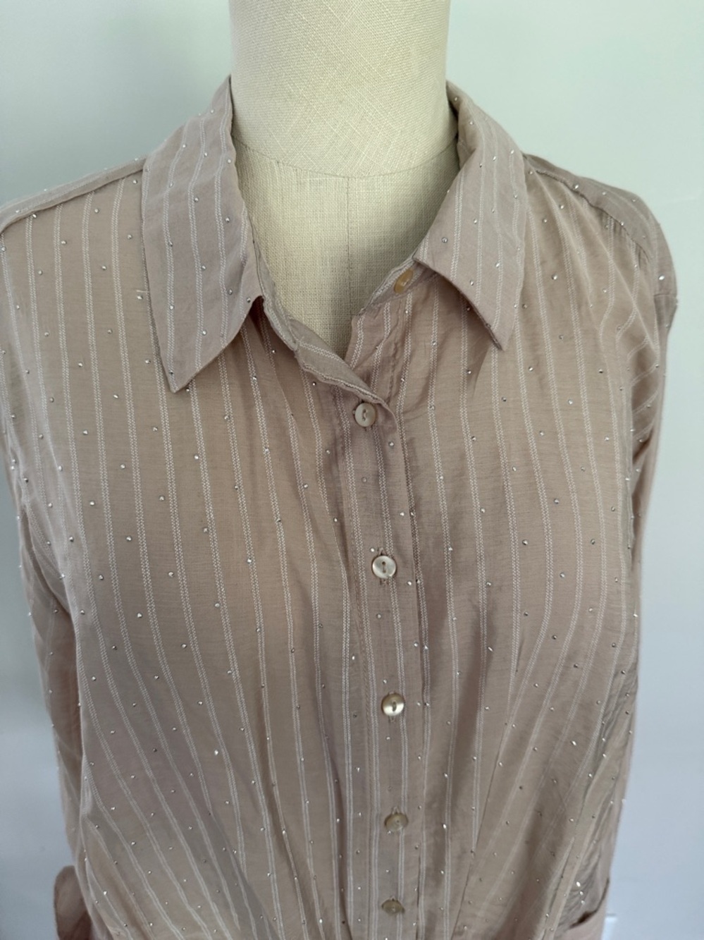 Women’s Modern Works Sheer Sparkle Blouse Neutral Size L NWT Beautiful